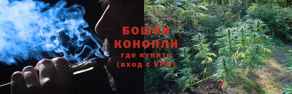 ешки Новозыбков