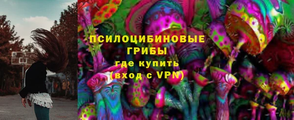 ешки Новозыбков