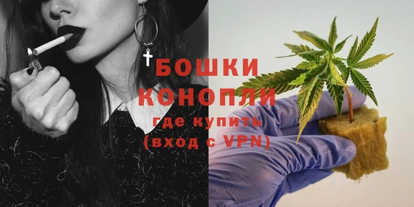 ешки Новозыбков
