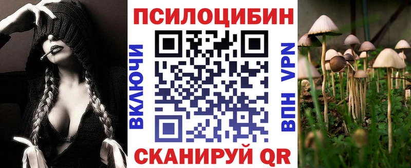 Псилоцибиновые грибы мицелий  Чехов 